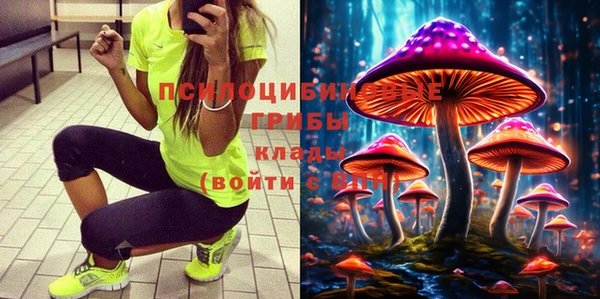 крисы Абинск