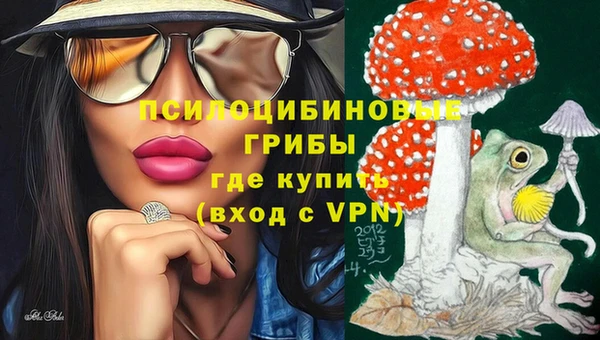 крисы Абинск