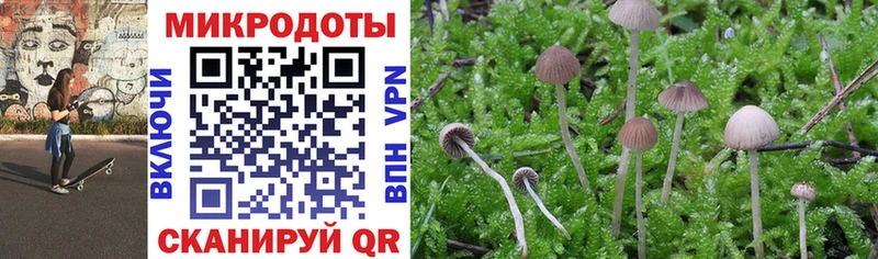 Псилоцибиновые грибы мицелий купить закладку Урус-Мартан